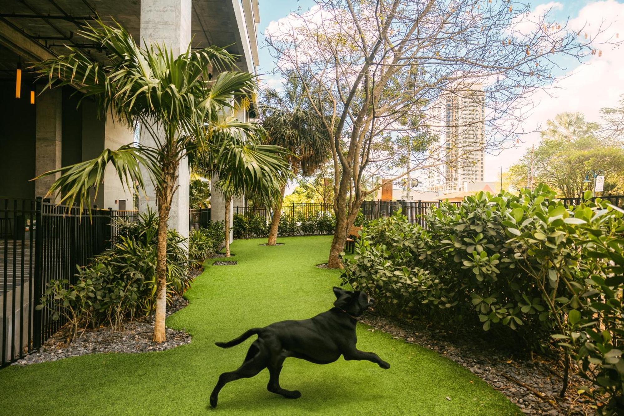 Flow Fort Lauderdale Hotel Dış mekan fotoğraf